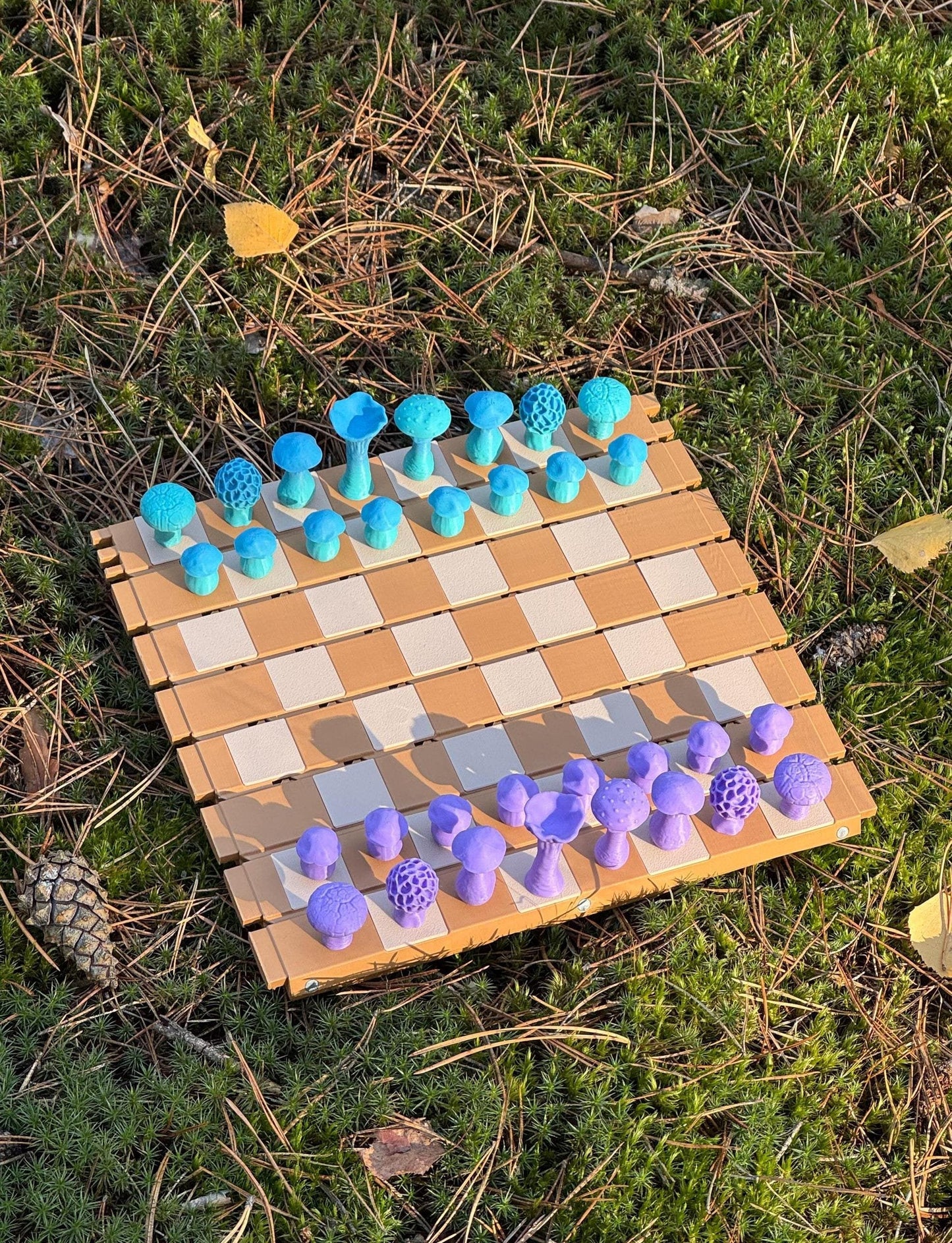🍄 Magnetic Forest Mushrooms Chess ♟️