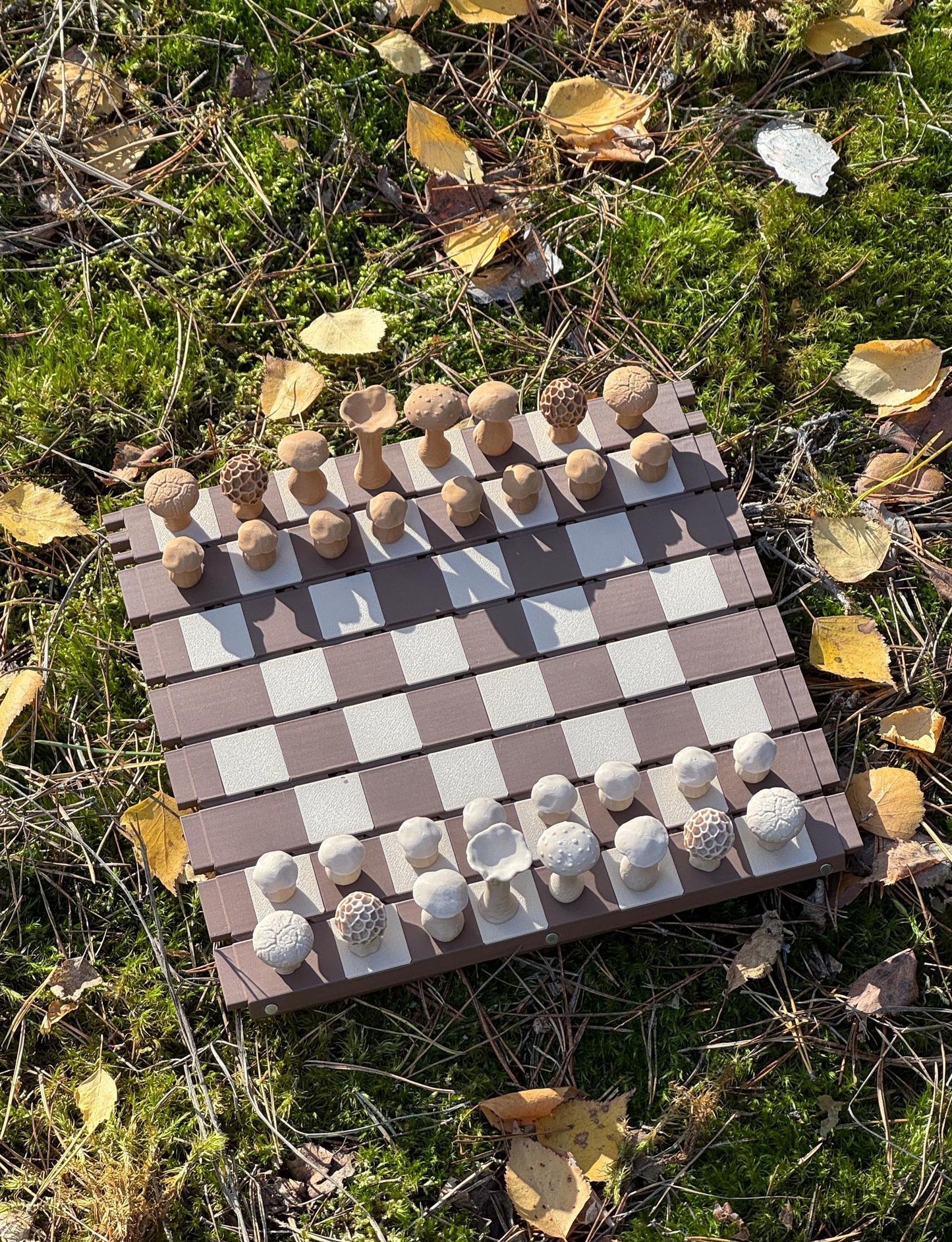 🍄 Magnetic Forest Mushrooms Chess ♟️