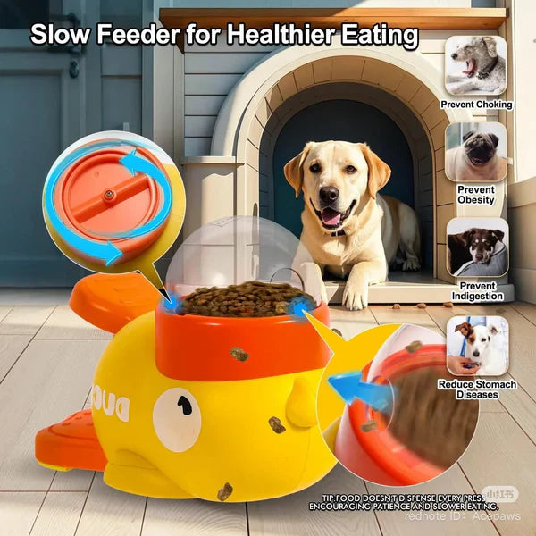 Interactive Pet Feeder