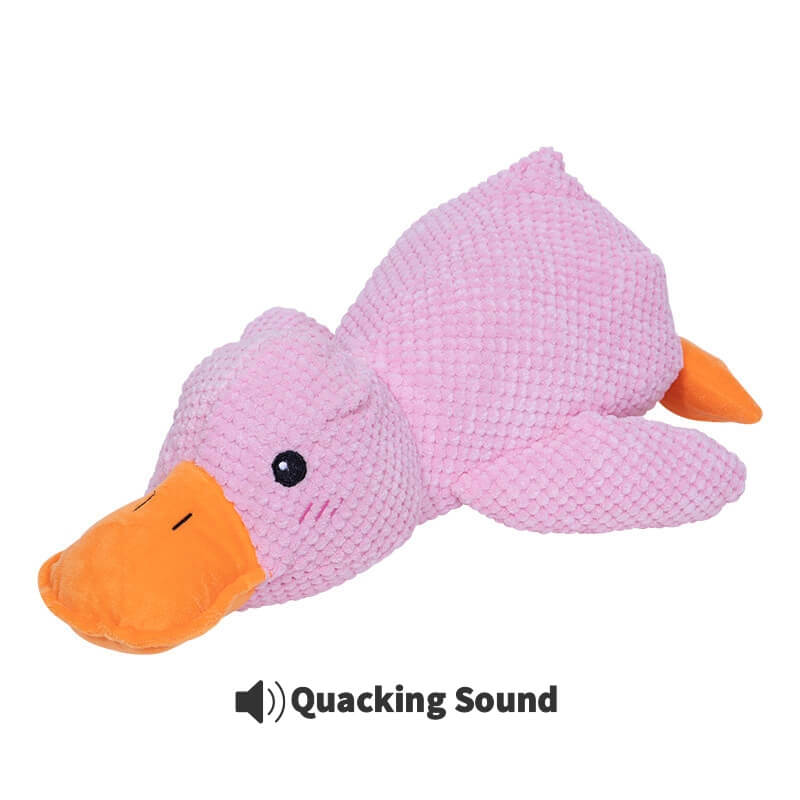 Calming Duck