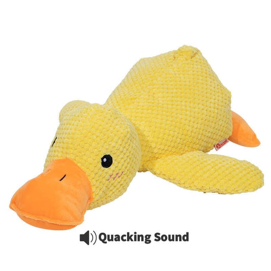 Calming Duck