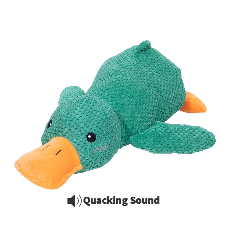 Calming Duck