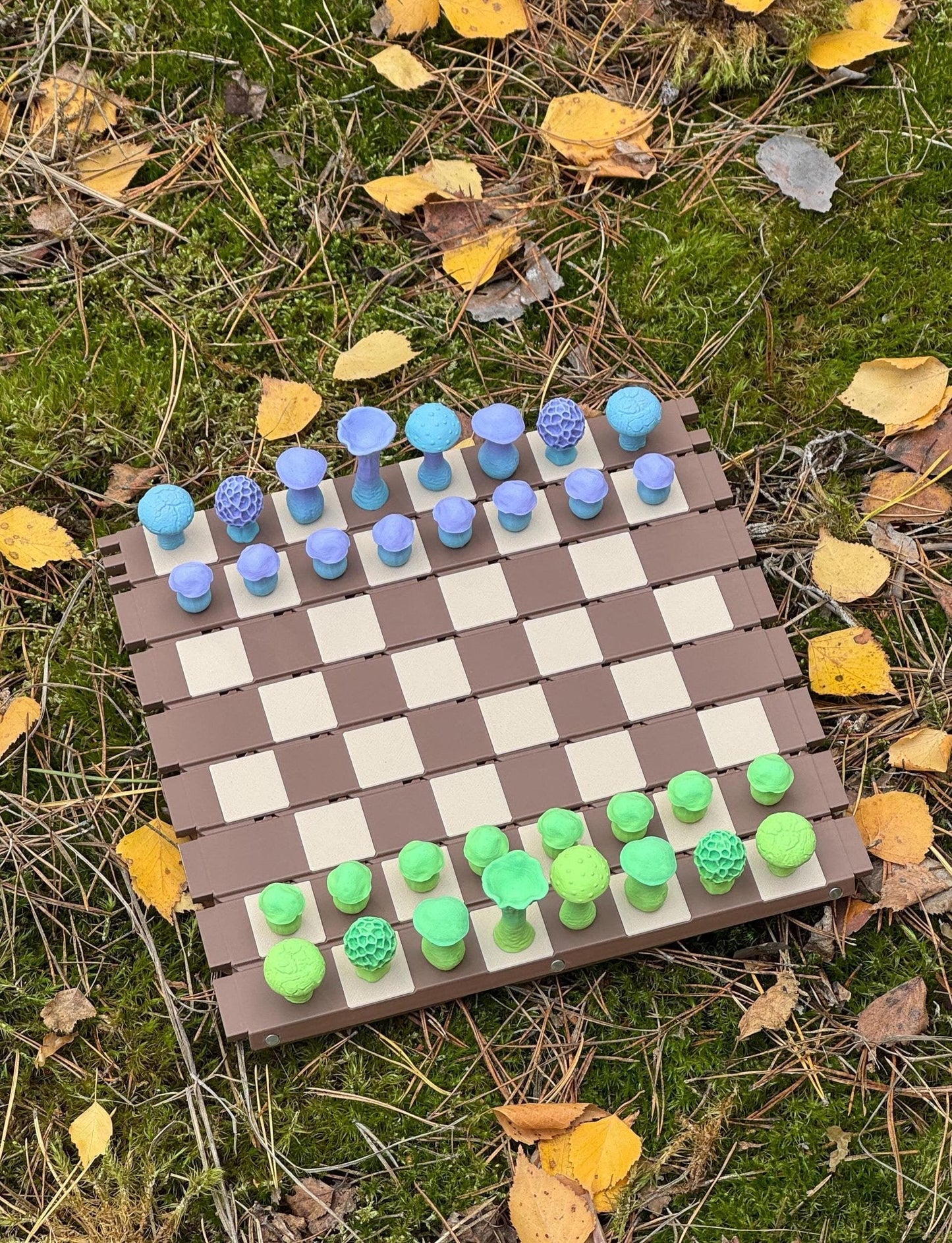 🍄 Magnetic Forest Mushrooms Chess ♟️